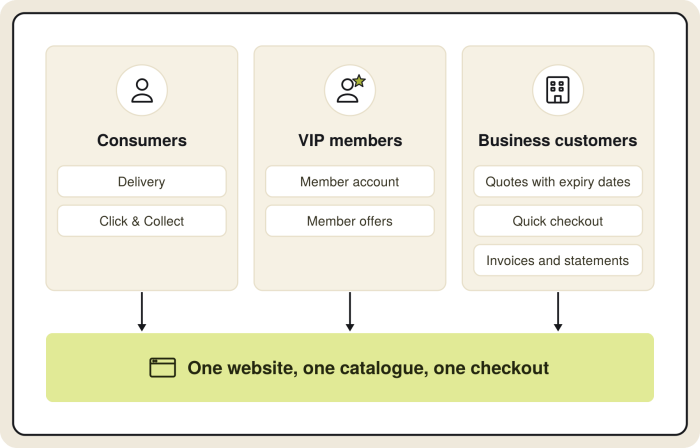 Diagram of Direct Chemist Outlet's three customer types on one website: consumers, VIP members and business customers