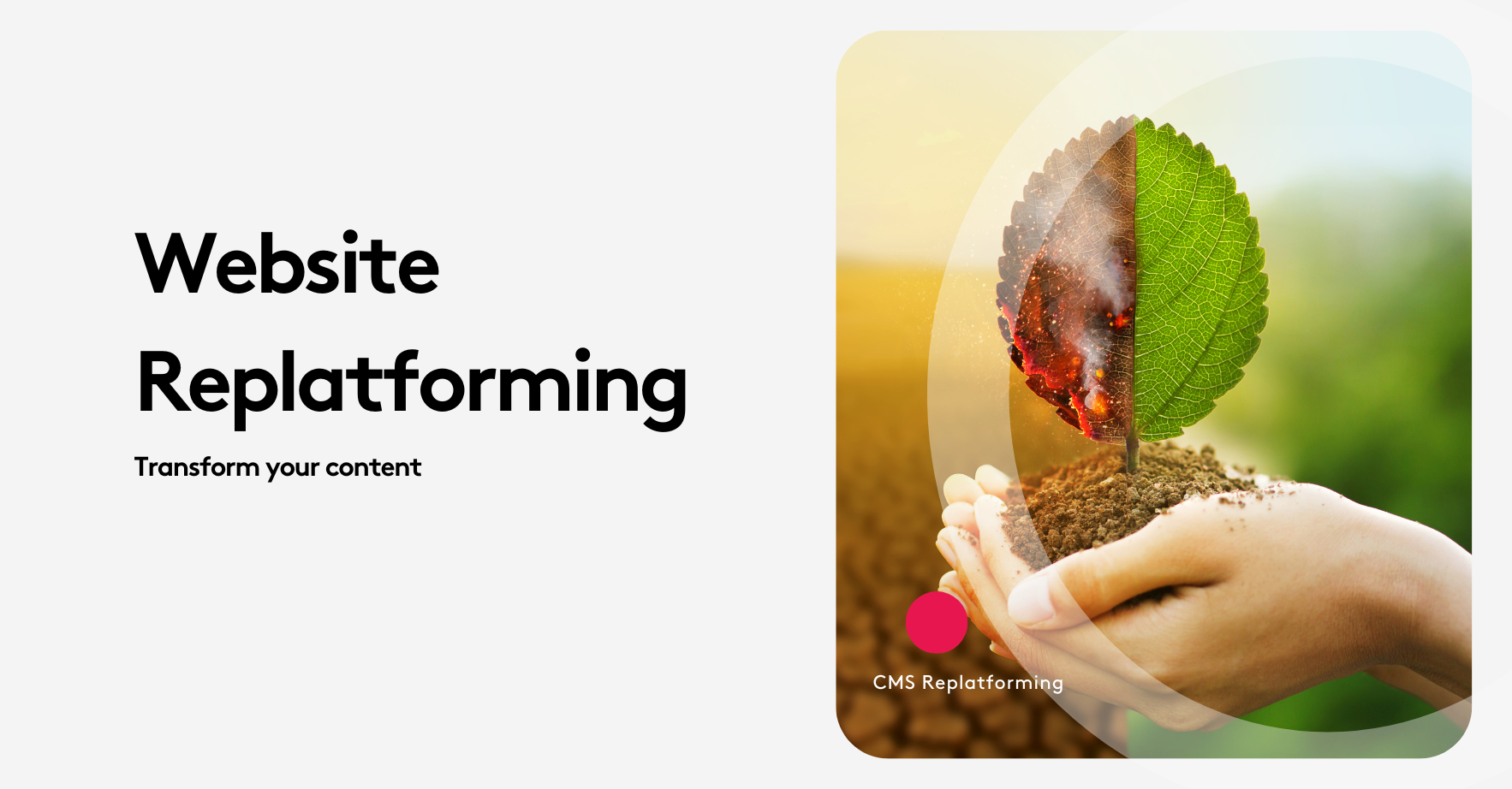 Replatforming Website Examples Website Replatforming: Smart Move or Hidden Risk?