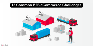 12 Common B2B eCommerce Challenges