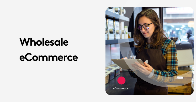 Wholesale eCommerce Playbook: Scale Smarter, Sell Better