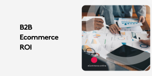 B2B eCommerce ROI: Hidden Costs and Missed Gains