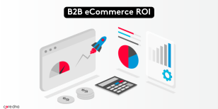 A Guide to B2B eCommerce ROI