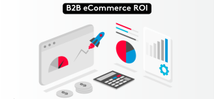 A Guide to B2B eCommerce ROI