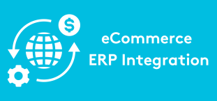 Understanding eCommerce and ERP Integration