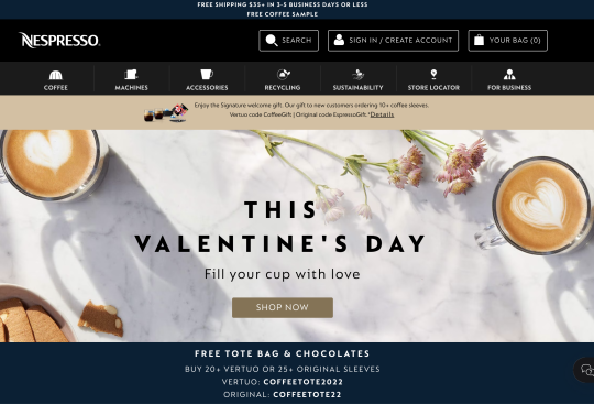 Nespresso Valentine's day special from website to illustrate a good homepage strategy