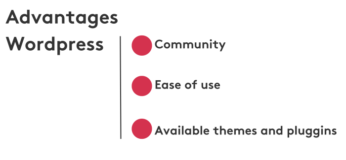 advantages of using wordpress are community, ease of use and the themes and pluggins