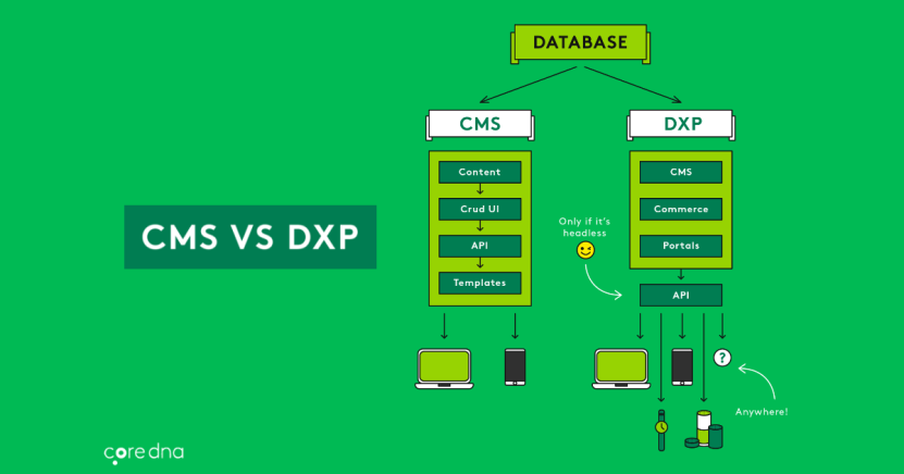 CMS vs DXP platform 