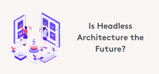 Is Headless Architecture the Future of CMS and eCommerce?
