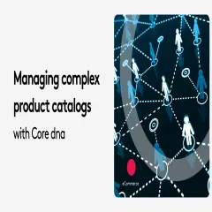 Illustration of managing complex product catalogs with Core dna featuring network of icons.