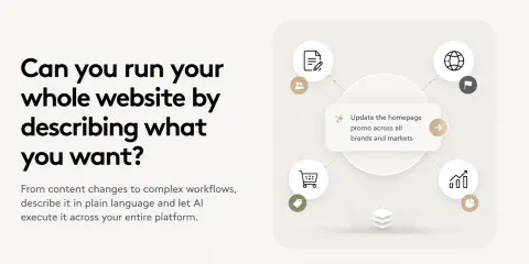 Can you run your whole website by describing what you want?