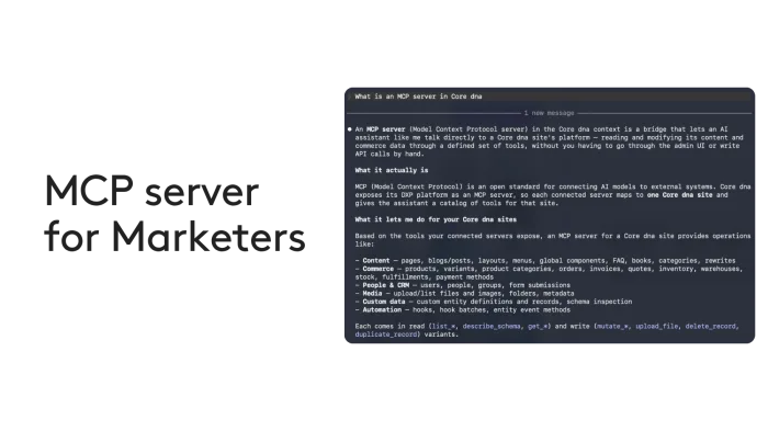 MCP server guide for marketers with detailed text on Core dna platform features.