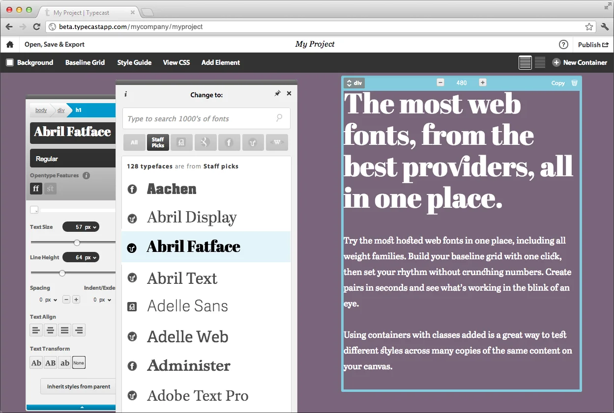 Typecast interface displaying web font selection and styling options.