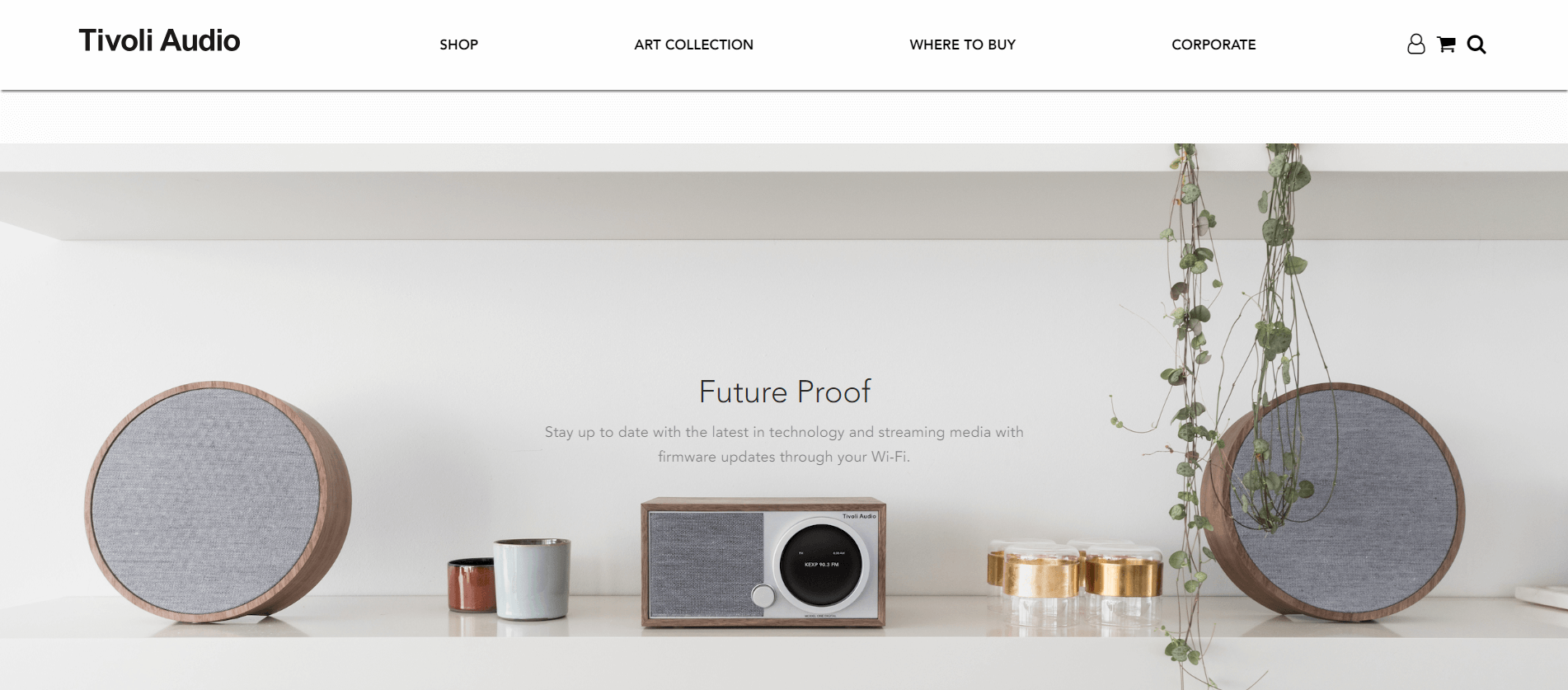eCommerce product page mistake: Tivoli Audio product page as a good example