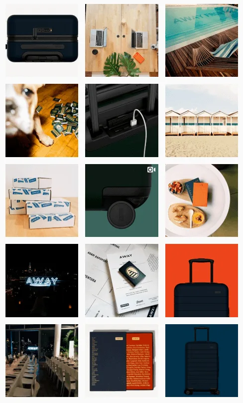 Collage featuring luggage, travel items, a dog with money, and a beach scene.