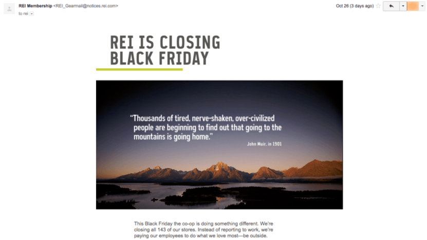 Black Friday Idea: REI BFM idea