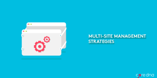 Multi-Site Management Strategies That Actually Work