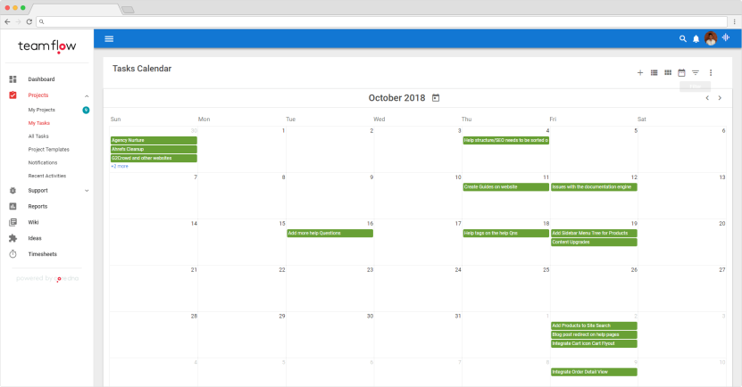 Choosing a project management tool: A shared team calendar
