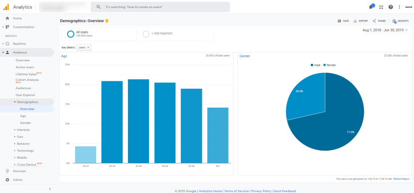 Ecommerce analytics: Audience Overview Report