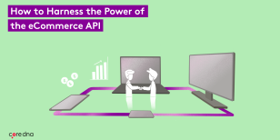 eCommerce API: What Is It & How to Harness the Power of the eCommerce API Economy