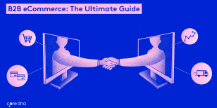 B2B eCommerce Guide, Strategies and Best Practices