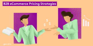 10 B2B eCommerce Pricing Strategies (With Mistakes To Avoid)