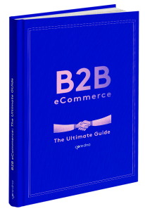 B2B eCommerce: The Definitive Guide