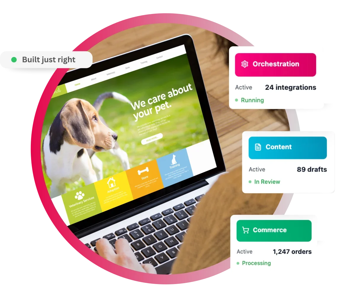 Laptop displaying a pet care website with orchestration, content, and commerce analytics.