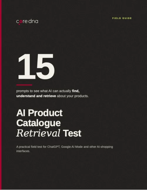 Get the 40-point AI Product Catalogue Audit